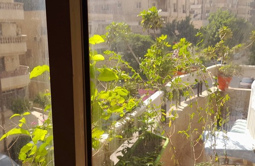 Qasr an-Nil Apartment | Single Rooms in an apartment in Nasr city Cairo Egypt 15 min from Cairo Airport