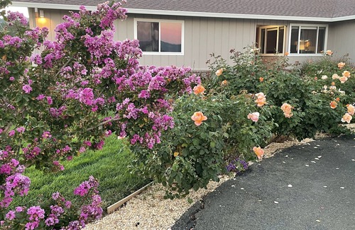 Sonoma House | Single Story Ranch w/Pool - 2.5 Acres close to Sonoma Square and Sonoma Raceway