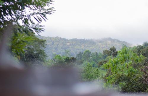 Kotapola Apartment | sinharaja forest lodge
