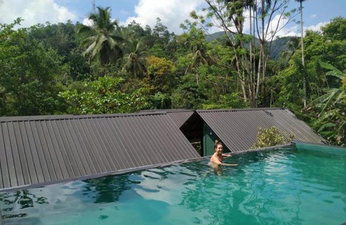 Kotapola Cabin | Sinharaja Forest Sanctuary