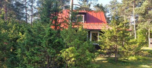 Saaremaa House | Sinilille suvemaja saunaga