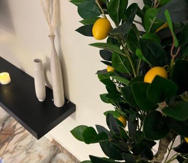 Al Khiran Apartment | Six countries apartments