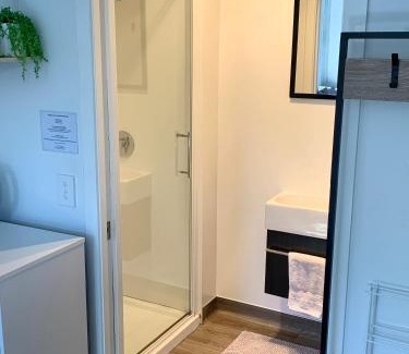 Franz Josef Glacier Apartment | Six Kamahi Guest Studio