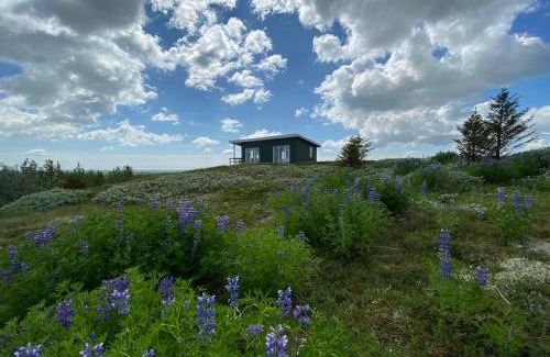 Rangarþing ytra House | Skeiðvellir Panorama house