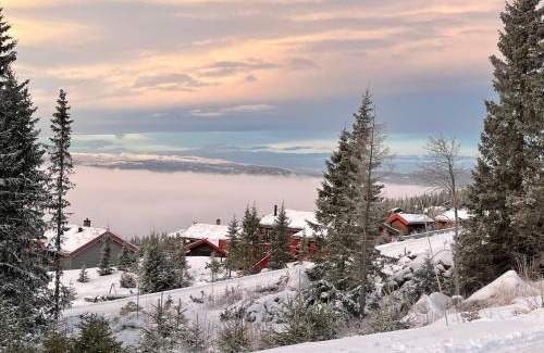 yer Ski Chalet | Ski and Bike-In and Out