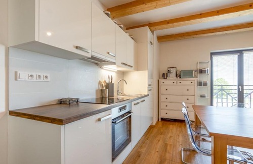 Loucna Pod Klinovcem Apartment | Ski Chalet Klínovec