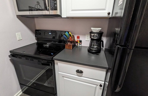 Snowshoe Condo | Ski In/Out 1BR Slopeside Condo at Top of the World, 1 Q bed + 1 Q Sleeper Sofa