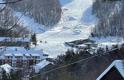 Warren Ski Chalet | Ski in/out 4 Bedroom/3 Bath Ski Sugarbush Chalet com - Sugarbush - Lincoln Peak