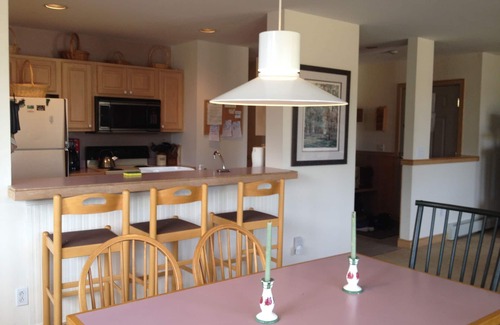 West Dover Condo | Ski In/Out Seasons Mt Snow - 2 bed room