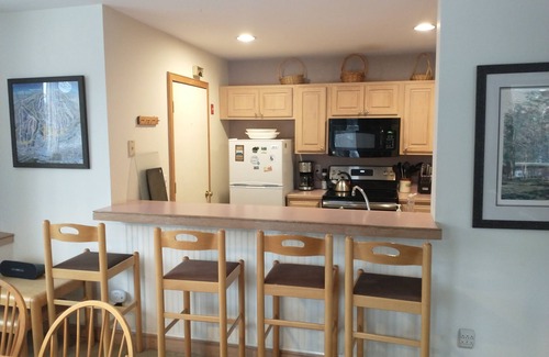 West Dover Condo | Ski In/Out Seasons Mt Snow - 2 bed room