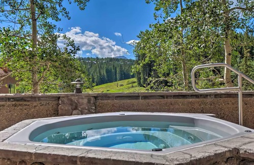 Peak 9 Apartment | Ski-In, Ski-Out From Studio, Ground Floor, Dog Friendly