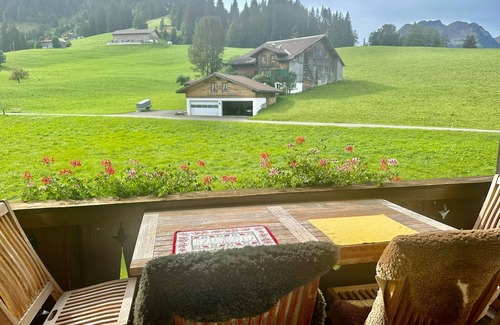 Gstaad Apartment | Ski-In Ski-Out - Great Flat on the Wispile