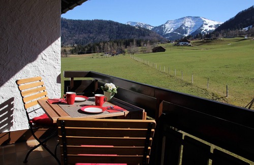 Steibis Apartment | ski pass for free