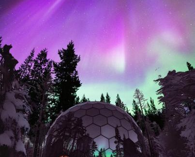 Risogrund Cabin | SKOG - Aurora Igloos Resort