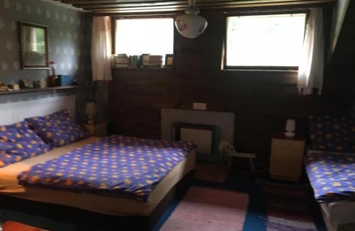 Horni Mesto House | Skromné letní retro ubytování pro dospělé