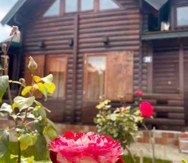 Kolasin Ski Chalet | Sky High Kolasin