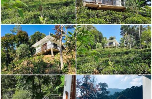 Ella House | Sky mount ella