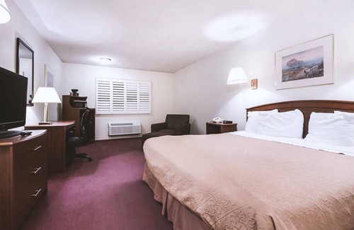 McCook Hotel | Sky-Palace Inn McCook - 1 Queen Bed NS