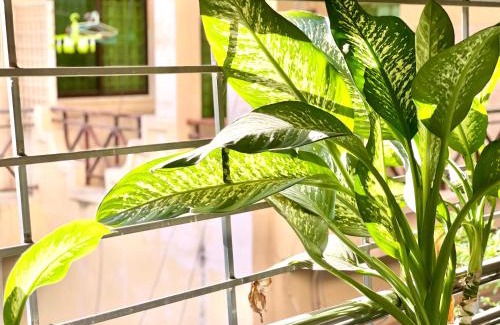 Daun Penh Bed & Breakfast | SKY Residence - 50m to Museum and Riverside