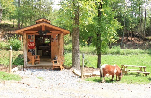 Clyde Cabin | Sleep in a caboose on a 65 acre buffalo ranch!