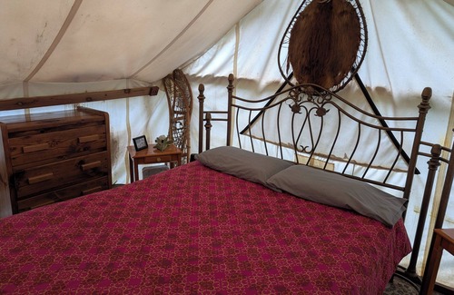 Fairbanks Cabin | Sleep in the trees! A treehouse escape just 5 minutes from airport and downtown!