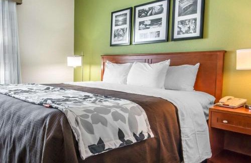 Winchester Hotel | Sleep Inn & Suites Winchester near University