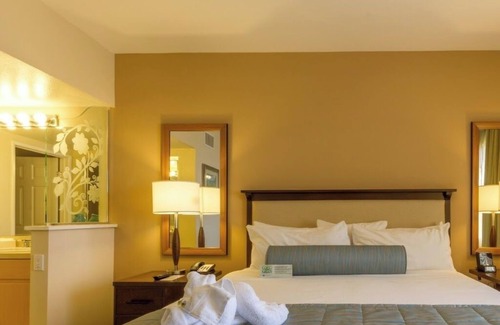 Carlsbad Resort | Sleeps 7! Carlsbad Resort, Min. to Beach/Legoland. Beautiful views. 7/13-20 1 wk