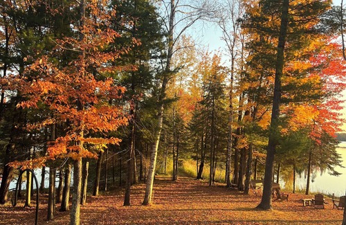Butternut House | Slice of Heaven with 3,000' Shoreline on the "Crown Jewel" in the Northwoods