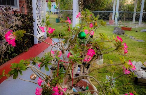 Patricks Island House | Slice of Paradise- 2 mins from Spotts Beach!