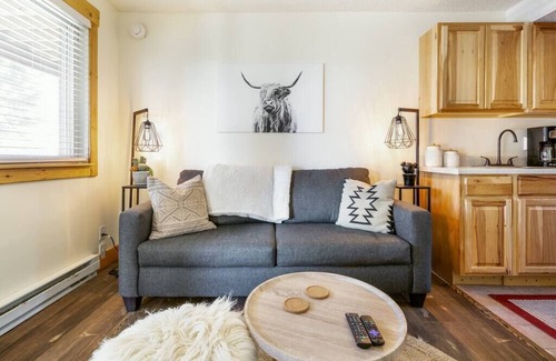 Steamboat Springs Condo | Slopeside Shanty Summ
