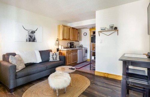 Steamboat Springs Condo | Slopeside Shanty Summ