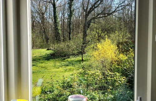 Castricum Apartment | Slow Down Dune Appartment 'Small Paradise'. Natura 2000 area by the Sea.