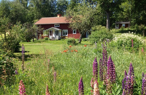 Skillingaryd Cottage | Småland cottage next to the forest edge, close to Isaberg and High Chaparall