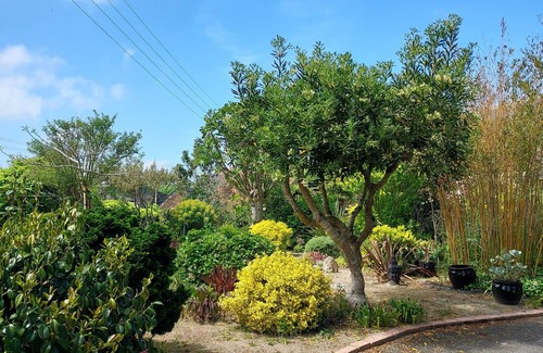 Beuzec-Cap-Sizun House | Small Breton farmhouse in a very quiet location