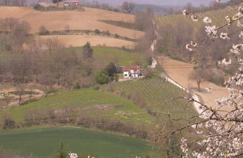Monterchi House | Small Family villa with vineyard. La Stazione
