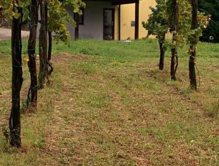 Slap House | Small house in Vipava valley