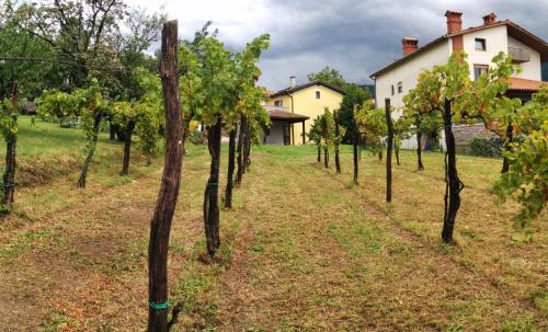 Slap House | Small house in Vipava valley