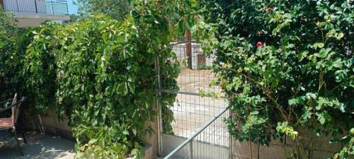 Kouroutai House | Small Paradise