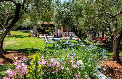 Nikita House | Small Paradise