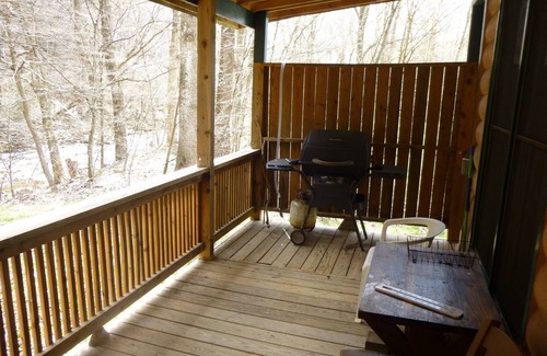 Lansing Cabin | Small, quiet, romantic, reasonably priced cabin, next to a great trout stream