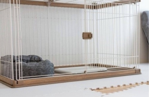 Toyonaka Hotel | SmokingDogfriendly Room only small dogs allowed Breakfast included/Toyonaka Ōsaka