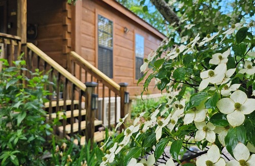 Sevierville Cabin | Smoky Mountain Lake Group Cabins on Douglas Lake