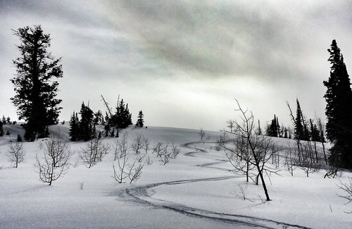 Utah County Cabin | Snowshoe or ski and relax by a warm wood stove while playing games!