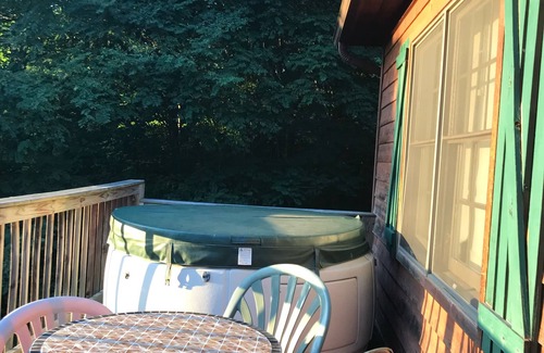 Slaty Fork House | SNOWSHOE, WV Convenient, Affordable, Mtn Views, Pet Friendly