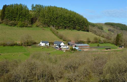 Trecastle Apartment | Snug Oak Hut with a view on a Welsh Hill Farm