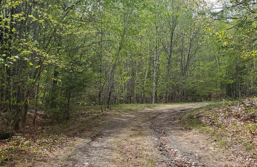 Bingham Cottage | Snug Rustic Cottage minutes from Beautiful Wyman Lake in Moscow, ME