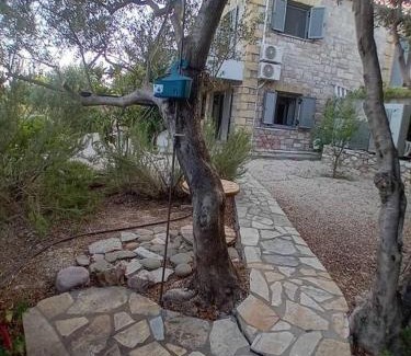 Pylos-Nestoras Apartment | Sofia's summer house