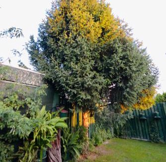 Skopje Region House | SOKO Guesthouse & Garden