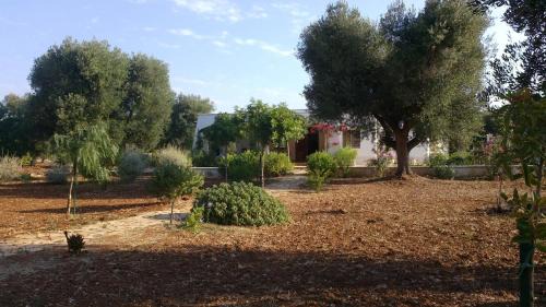 Carovigno House | Sol Invictus Est