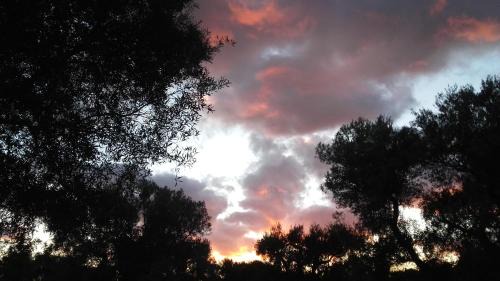 Carovigno House | Sol Invictus Est